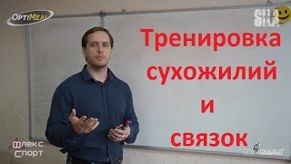 Тренировка сухожилий и связок