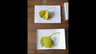 Aquarelle feuille de  GinkgoBiloba (Timelapse)