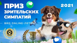 Прямая трансляция BRD-ONLINE ЛЕТО 2021 Приз зрительских симпатий