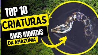 AS TOP 10 CRIATURAS MAIS MORTAIS DA AMAZÔNIA!! INCRÍVEL!