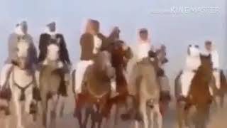 هوسات الصايح ابن عمشى هوسة راكب حمرا زهى دله