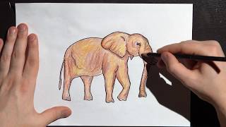 How to Draw an Elephant. Drawing the Elephant Step by Step for Kids