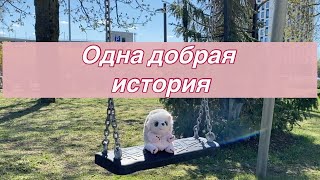 Одна милая история о человеческой доброте и не безразличии