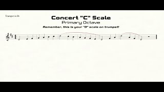 Trumpet D Scale Practice in Half-Quarter All-State Pattern (primary octave)