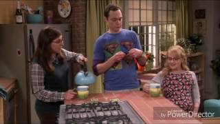 The Big Bang Theory - Functioning Boyfriend