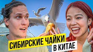 Китайская Нарния Заехали в Очень Красивый Лес! АВТОДОМ#12