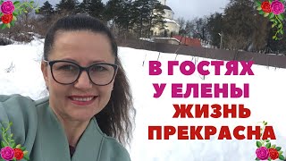 Я НИЧЕГО В ЭТОМ НЕ ПОНИМАЮ / ЖИЗНЬ ПРОДОЛЖАЕТСЯ / ОБЗОР ПОКУПОК