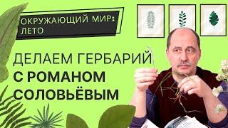 Как сделать гербарий? Окружающий мир: лето с Романом Борисовичем Соловьёвым.