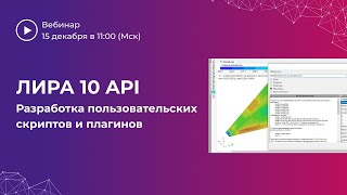 ЛИРА 10 API.  Разработка пользовательских скриптов и плагинов