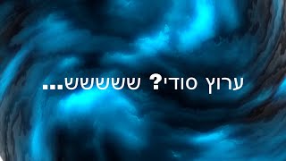 ערוץ סודי