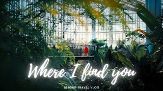 한겨울에 찾은 세종 여행 | Where I find you | Cinematic travel vlog