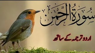 Most Beautiful Quran Recitation #Quran #islamic #status #emotional #reel #urdu #heart #touching