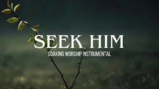 Seek Him - Soaking Worship Instrumental | Prayer + Devotional