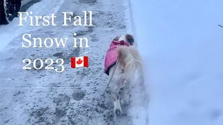 ALAM NYO BA ? 🇨🇦 EP5 || FIRST FALL SNOW IN 2023