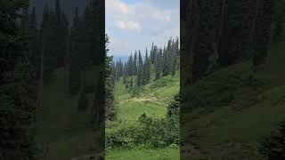 Doodpathri kashmir