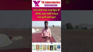 #Vaayuu #Yantra మిరపలో వాయు యంత్ర కొట్టడం తో బ్లాక్ త్రిప్స్ మొత్తం కంట్రోల్ అయ్యాయి | YK Lab