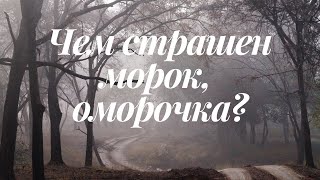 Что такое Омороки  Признаки