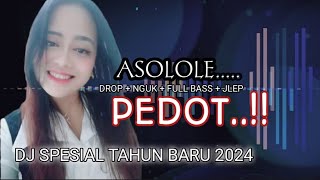 ASOLOLE PEDOT..!! DJ SPESIAL TAHUN BARU 2024 COCOK BUAT CEK SOUND