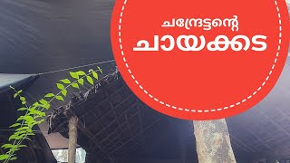 ചന്ദ്രേട്ടന്റെ ചായക്കട 🍲🥘🥗🍚|കോഴിക്കോട് | Calicut