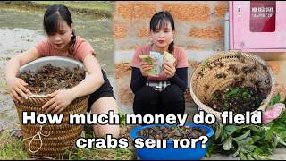 seafood in the field. Collect field crabs to sell and store melon seeds