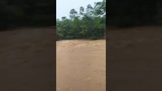 harap berhati hati banjir bandang dijembatan talang rendah kecamatan hulu palik bengkulu utara