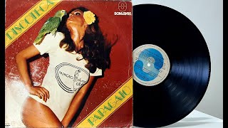 Papagaio Disco Club - ℗ 1978 - Baú🎶