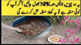 Best Natural Fertilizer For All Plants |Homemade Organic Fertilizer for any Plants