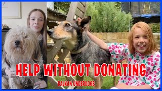 Balkan Underdogs - Help without donating