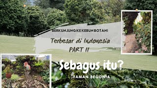 #31 Berkunjung ke Kebun Raya Bedugul part II | Taman Begonia | Libur sekolah