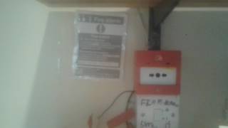 My fire alarm test 33.