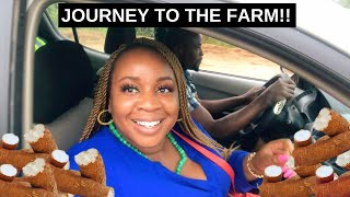 JOURNEY TO THE FARM IN OGUN STATE #SHORTS | GREENHILLS CASSAVA FARMSTEAD