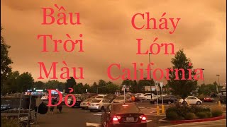 Vlog 50 || ĐIỀU GÌ BẤT THƯỜNG TRONG NĂM 2020??? CHÁY LỚN Ở KHẮP CALIFORNIA