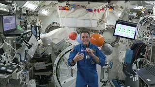 Expedition 68 Astronaut Josh Cassada Talks with NPR’s Shortwave Podcast   Dec  29, 2022