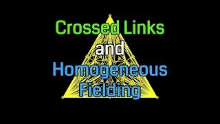 Ingress | Crossed Links and Homogeneous Fields | Part 2