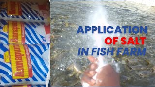 How To Apply Salt on Your Fish Farm