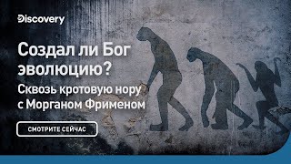 Создал ли Бог эволюцию? | Сквозь кротовую нору с Морганом Фрименом | Discovery