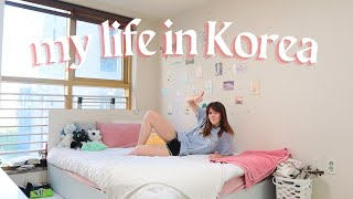 A day in the life of an English teacher in Korea (2024 edition)