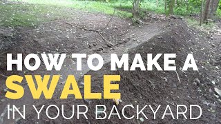 How to Make a Swale in Your Backyard - Bay, Laguna [VLOG E04]