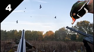 Fast and Furious Wood Duck Hunt in Flooded Corn!  #duckhunting #woodduck