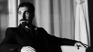 Serj Tankian VS Imagine Dragons BEEF