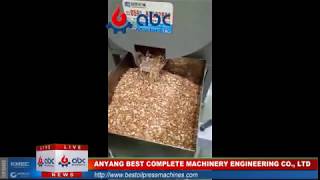 Peanut/Groundnut Oil Extraction Machine|Small Oil Press