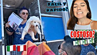 ADOPTAR UN PERRITO EN ITALIA 🇮🇹- CUESTA MUCHO?💶 SON ESTRICTOS?😖 - UNA PERUANA EN EUROPA