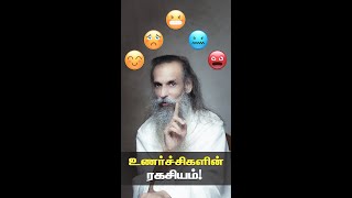 emotions vs consciousness  |  உணர்வுகள் vs உணர்வு.