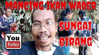 mancing ikan wader babon di sungai  birang pakai umpan jangkrik