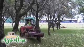 Raccolto di frutta dall'albero con macchine agricole