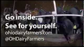 What Really Goes On Inside Ohio Dairy Barns?