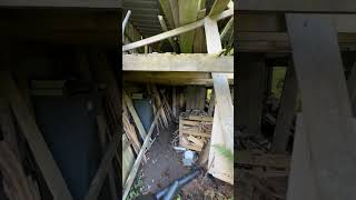 Gwyllt Hollow Wood Shed 1 Oct 2023