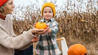 Pumpkin picking season