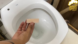 faça sua pastilha sanitária em casa usando apenas dois produtos