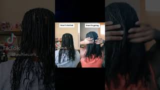 1 month mini braids comparison ✨️ #naturalhair #minibraids #type4hair